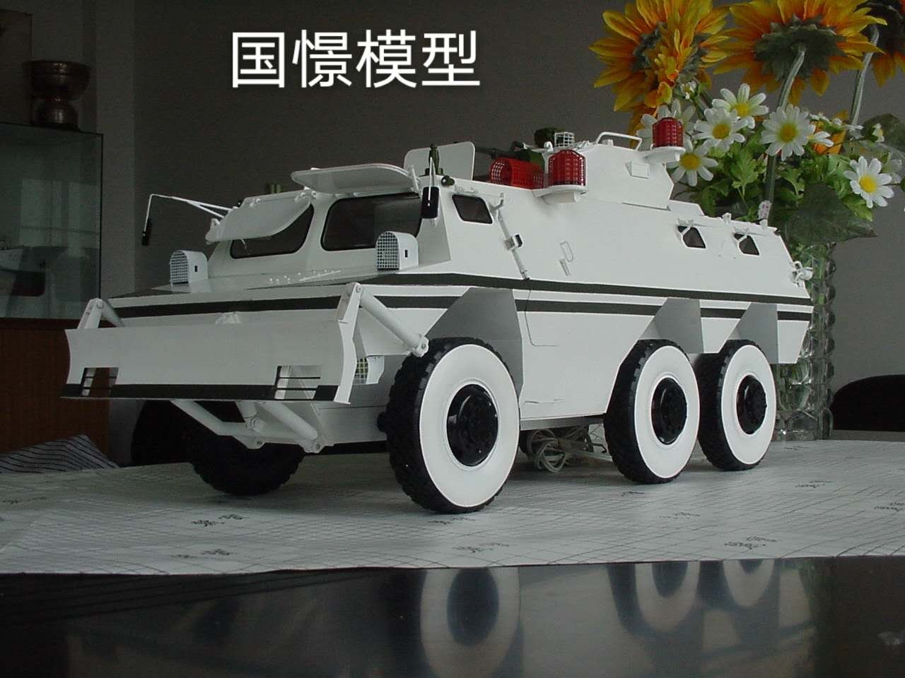 江孜县军事模型